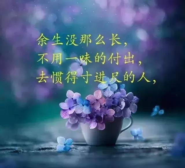 人生感悟的经典短句(八字格言励志短句霸气)