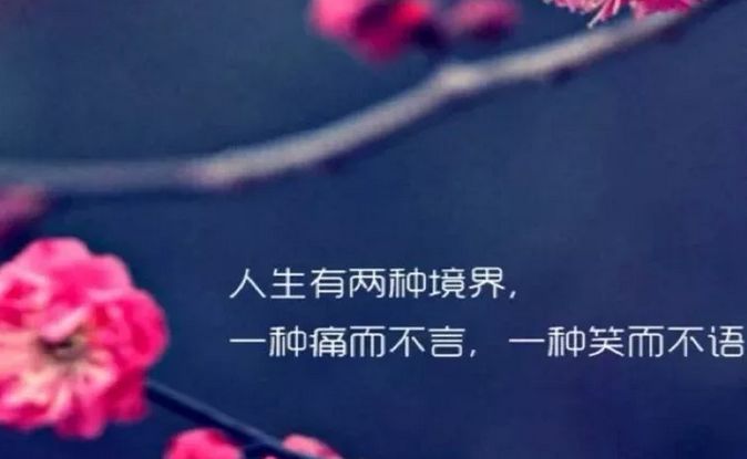 人生感悟的经典短句(八字格言励志短句霸气)