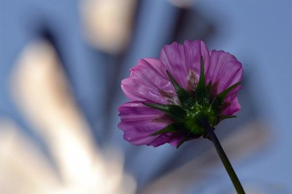 经典的话适合发朋友圈