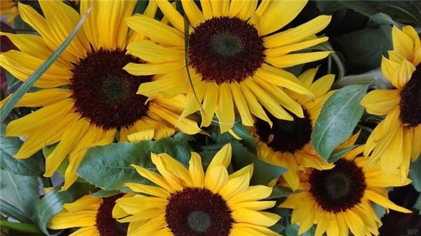 适合发朋友圈的人生感悟短句