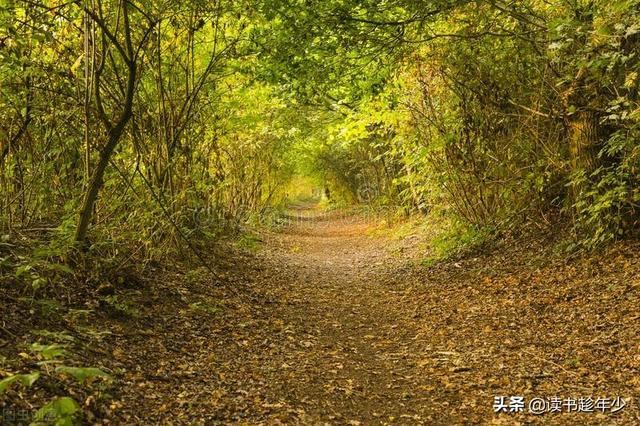 每天坚持努力的句子