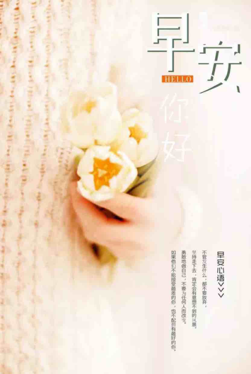 早上正能量的句子短句(早晨美好句子简短)