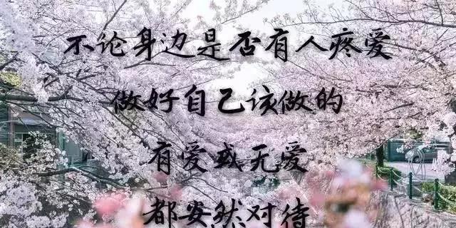 伤感感悟人生的句子