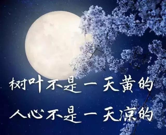 伤感感悟人生的句子 伤感感悟人生的句子