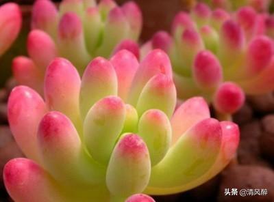 害我得病了伤心句子 害我得病了伤心句子