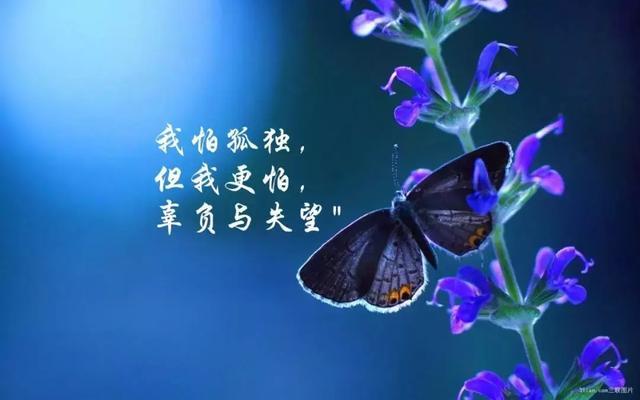 深沉伤感的句子 深沉伤感的句子