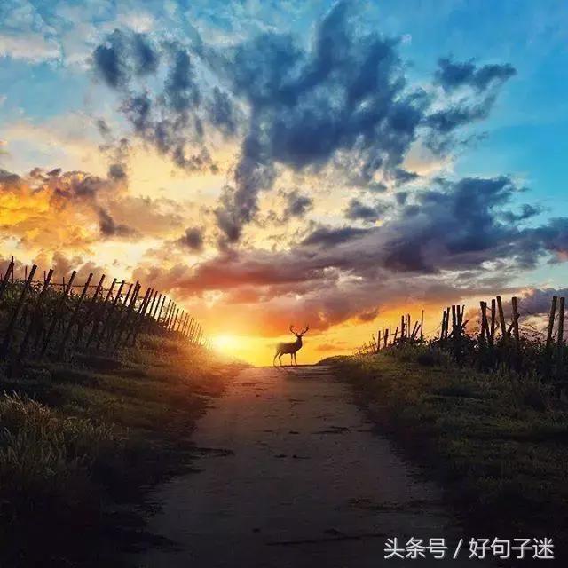 霸气伤心的句子短句 霸气伤心的句子短句