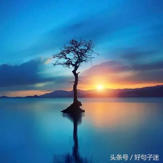 霸气伤心的句子短句 霸气伤心的句子短句
