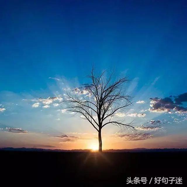 霸气伤心的句子短句 霸气伤心的句子短句