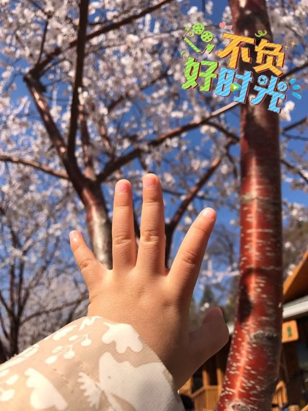 表示心情伤心的句子 表示心情伤心的句子