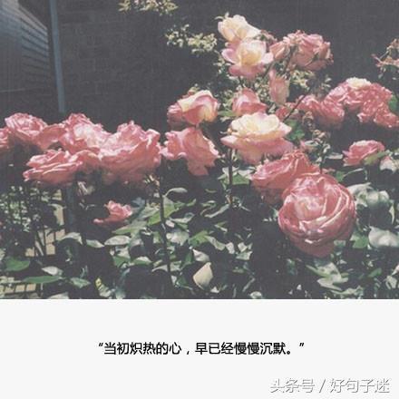 到最后还是分手了伤心的说说句子 到最后还是分手了伤心的说说句子
