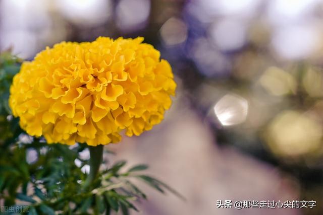 伤心难过时发朋友圈的句子 伤心难过时发朋友圈的句子