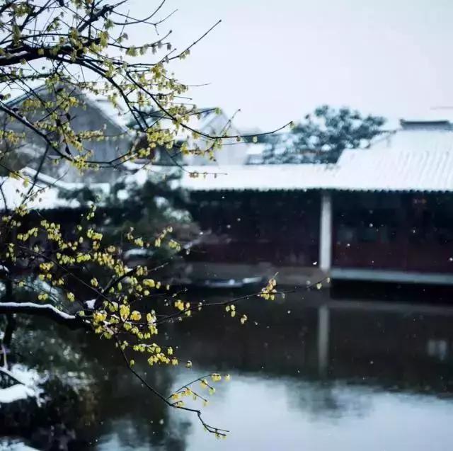 描写雪景的美文美句