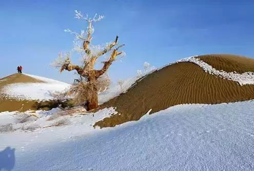 描写雪景的美文美句