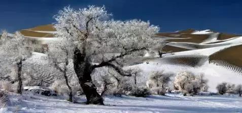 描写雪景的美文美句