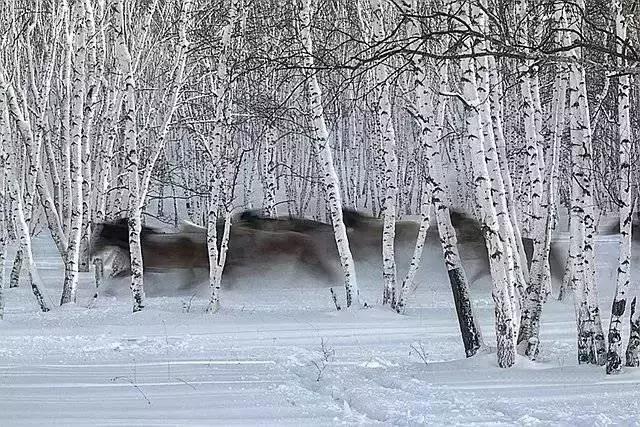 描写雪景的美文美句