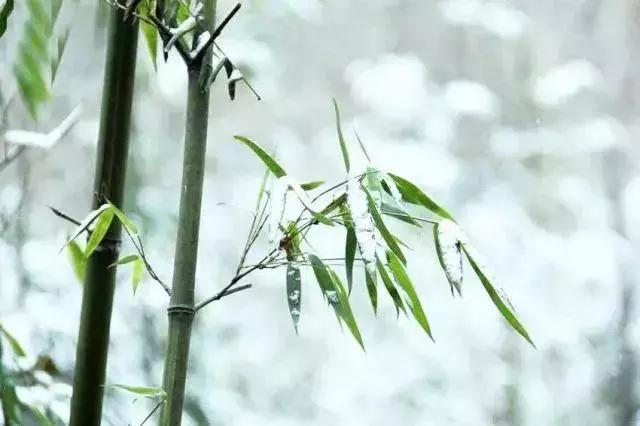 描写雪景的美文美句