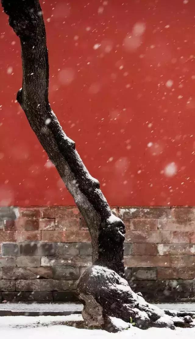 描写雪景的美文美句