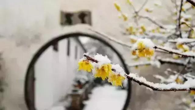 描写雪景的美文美句