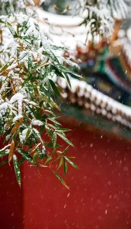 描写雪景的美文美句