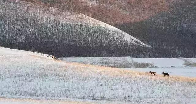 描写雪景的美文美句