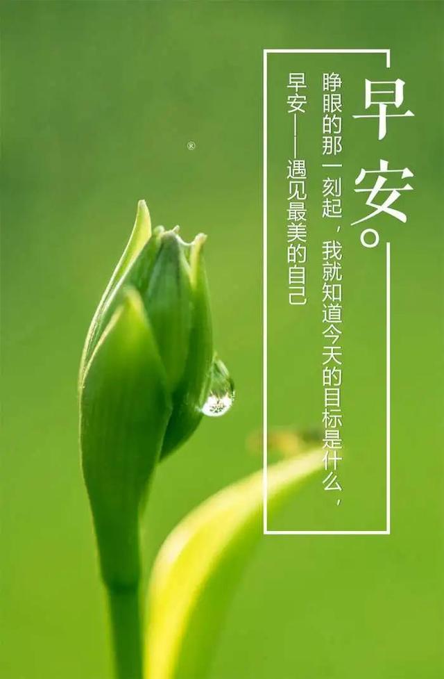 积极句子图片 积极句子图片